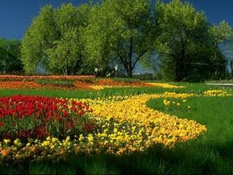Afbeelding En Bloemen