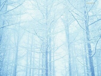 Winter In Japan Hokkaido Wallpaper Of