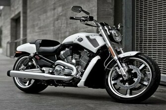 Harley Davidson V Rod Muscle Vrscf