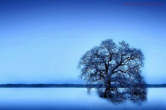 Best 3d Wallpaper HD Screensaver Background