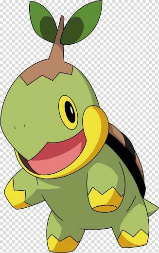 Pikachu Ash Ketchum Pok Mon Adventures Turtwig Pokemon