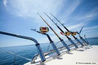 Sport Fish Wallpaper Top Background