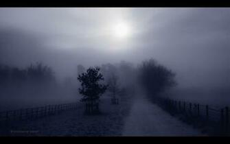 Fog Wallpaper HD