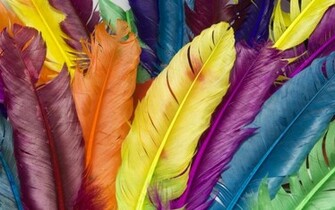 Rainbow Bright Colors Wallpaper