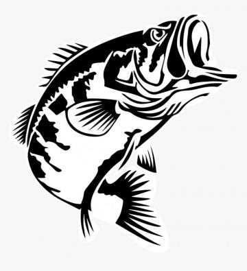 Bass Fishing Largemouth Bassmaster Classic