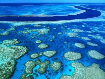 Ocean Reef Oceans Wallpaper Desktop