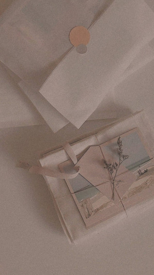 Tan Aesthetic Wallpaper