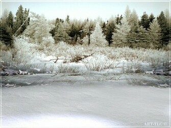Christmas Snow Scene Wallpaper Pictures Quoteko