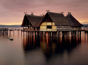 Wood House Wallpaper