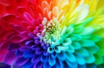 HD iPhone Cute Desktop Wallpaper Seven Colorful Screen