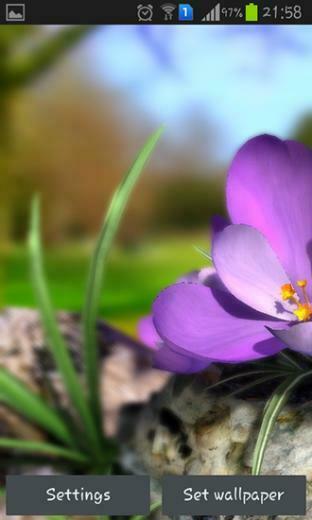 Live Wallpaper Description Nature Spring Flowers 3d