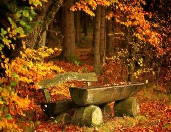 Beautiful Autumn Desktop Wallpaper In HD