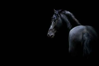 Dark Horse Wallpaper