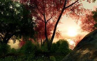 Nature Trees Forest Digital Art 3d Render Wallpaper Background