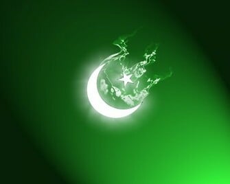 Cat Love Pakistan Wallpaper