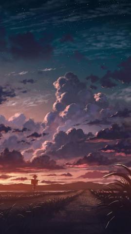 Cloudy Sunset Wallpaper iPhone Android Background Followme