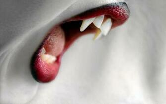 Vampire Teeth Vampires Desktop And Mobile Wallpaper Wallippo