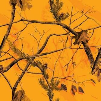 Camo Realtree Apblaze Jpg