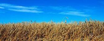 Panoramic Landscape Wallpaper Panorama Photos Wallcoo
