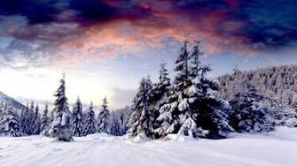 Winter Scene Wallpaper