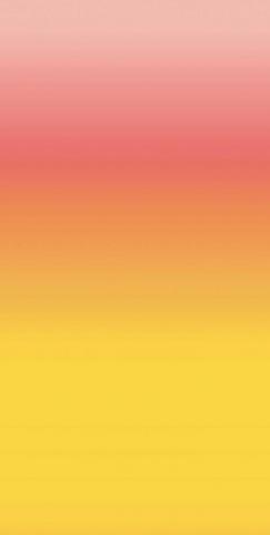 Ombre Pink Yellow Gradient Backdrop