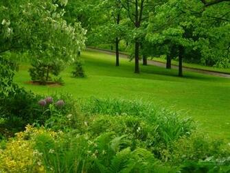Forest Garden Green Nature Forests HD Desktop Wallpaper