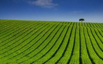 Home Bulk Wallpaper Cool Desktop