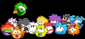 Puffle Puffles Club Penguin Memes Peguin