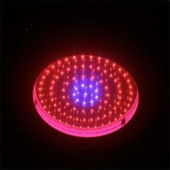 Full Spectrum Led Grow Lights