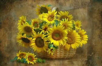 Still Life Wallpaper