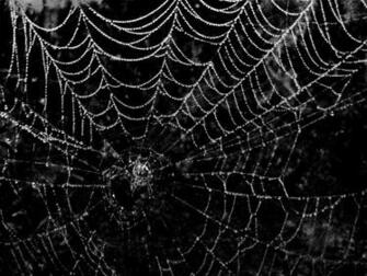 Spiderweb Background
