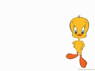 Tweety Wallpaper Picture