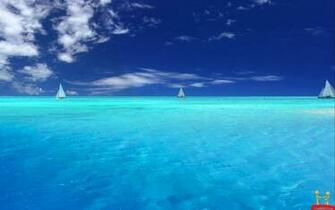 Ocean HD Widescreen Desktops Laptops Computers Background Wallpaper