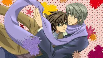 Junjou Romantica HD Wallpaper Background Image