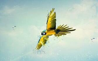 Fly Wallpaper And Background Image Net