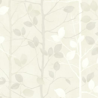 Not Found Cut Price Wallpaper Crewecut Crewe