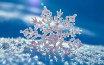 Color On Snowflake Wallpaper Desktop Wallpaperlepi