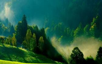 Farms In Yellow Morning Mist Wallpaper Mela