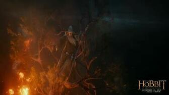 Alpha Coders Explore The Collection Lord Of