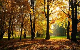 Autunno Stagione Sfondi HD