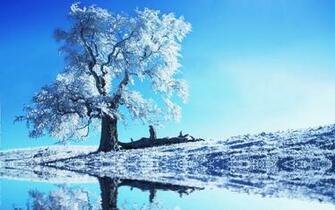 Ch H Nh N Tuy T Snow Wallpaper HD Full 4k