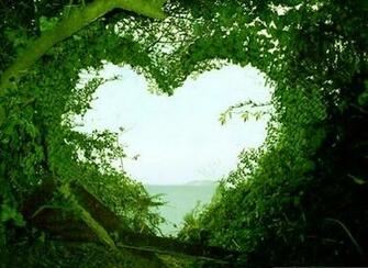 Top Nature Wallpaper Find Beautiful Photos