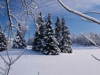 Christmas Desktop Wallpaper Winter Scene
