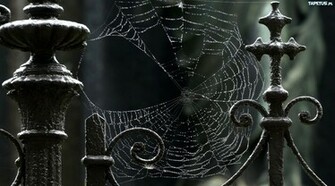 Tapeta Paj Czyna Ogrodzenie Park