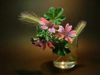 Ikebana Wallpaper Galleryhip The Hippest Galleries
