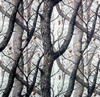 Tarnmuster Realtree Hardwoods Snow