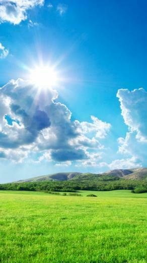 Noon Grassland Galaxy S5 Wallpaper Samsung
