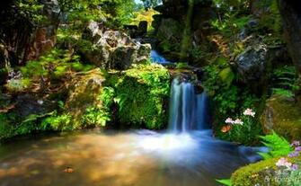 Animated Wallpaper Just Paradise