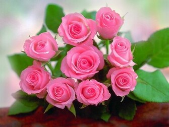 Pink Roses Beautifully Arranged Have You Ever Gifted Someone