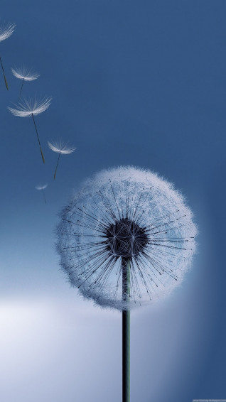 Full HD Background Wallpaper 1080p For Samsung Galaxy S4